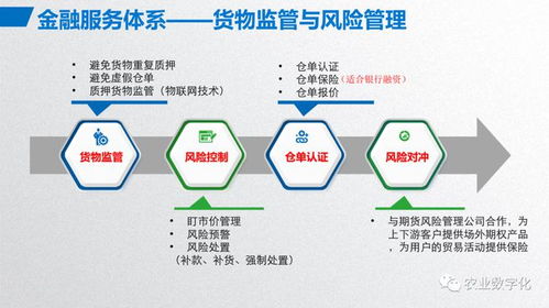 大宗农产品交易平台建设方案