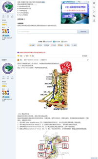 疼痛学中级职称考试经验指导及精品资源汇总 欢迎一起整理