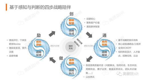 阿里巴巴人力资源与组织管理体系,值得学习